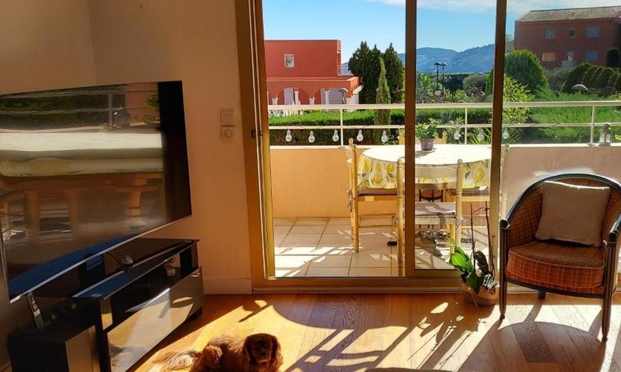 Chambre Lit 2 Personnes Dans Appartement Du Logeur Mandelieu Exterior foto
